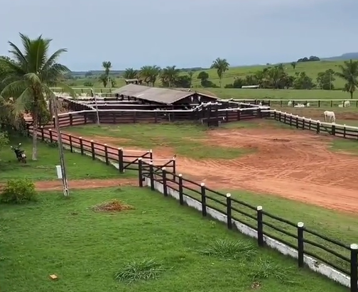 🏘️💰SÍTIO 100 HECTARES+300 GODAS+PLANTAÇÃO SOJA OU 2 MILHÔES EM DINHEIRO 🏘️💰